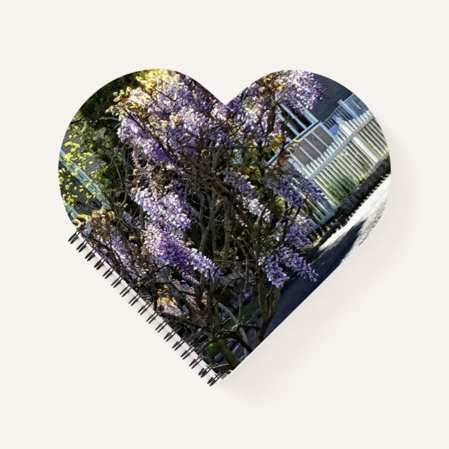 Wisteria in Bloom Notizbuch (Vorderseite)