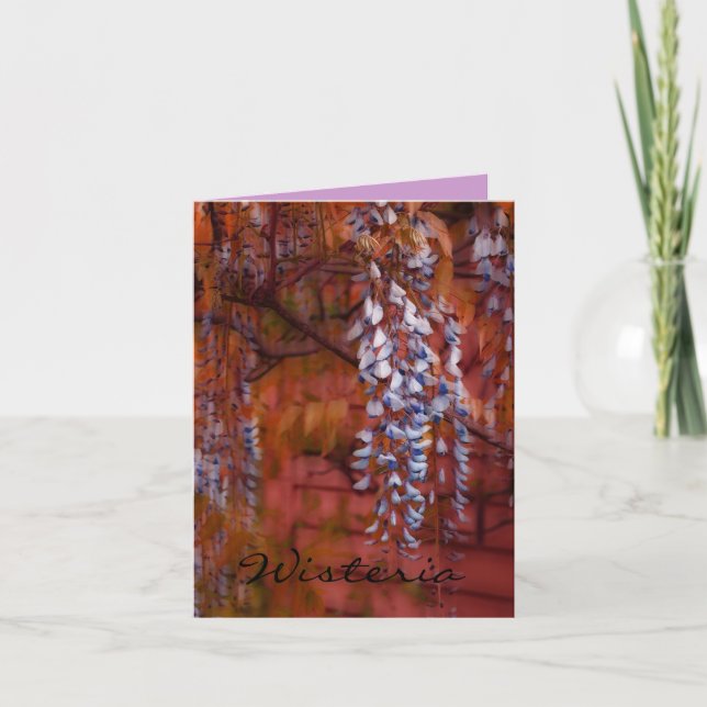 Wisteria Karte (Vorderseite)