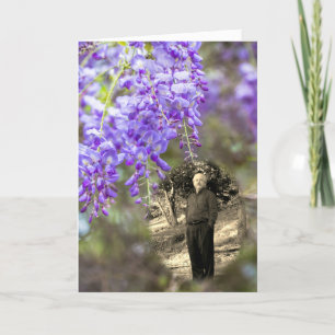 Wisteria Life Ankündigung