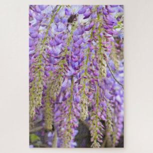 Wisteria Lila Blütenpracht Baum Violett Puzzle