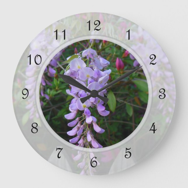 Wisteria Lila Blütenrebe Große Wanduhr (Vorderseite)