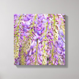 Wisteria Lila Floral Blossom Tree Violet Leinwanddruck