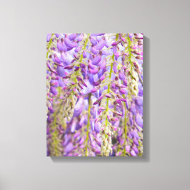 Wisteria Lila Floral Blossom Tree Violet Leinwanddruck