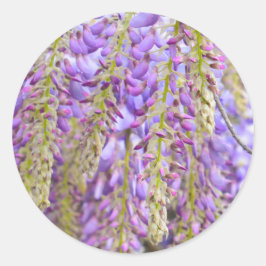 Wisteria Lila Floral Blossom Tree Violet Runder Aufkleber