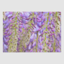 Wisteria Lila Floral Blossom Tree Violet