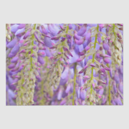 Wisteria Lila Floral Blossom Tree Violet Seidenpapier