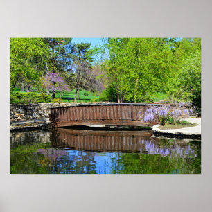 Wisteria Locarno Poster