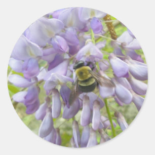 Wisteria & Male Carpenter Bee Stickers