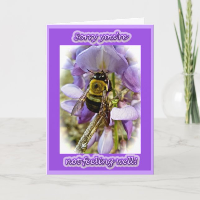 Wisteria & Male Carpenter Bee Well Card Karte (Vorderseite)
