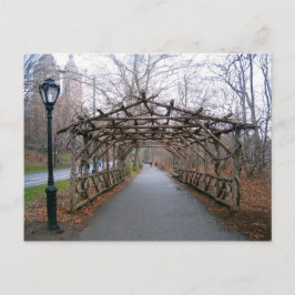 Wisteria Pergola New York City Central Park NYC Postkarte