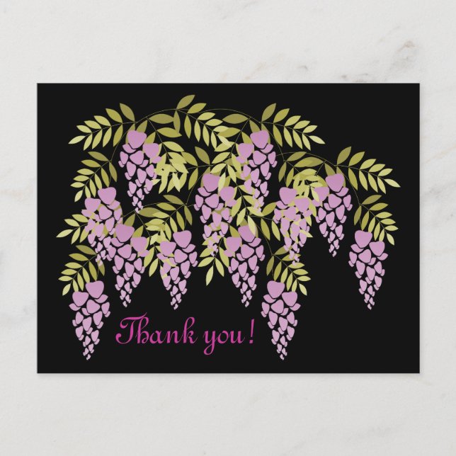 Wisteria Postcard Postkarte (Vorderseite)