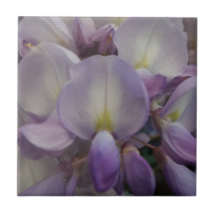 Wisteria Small (4,25" x 4,25") Keramik Foto Tile Fliese