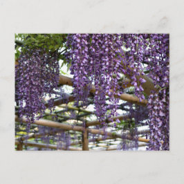 Wisteria Trellis: Kameido Tenjin, Tokio Postkarte