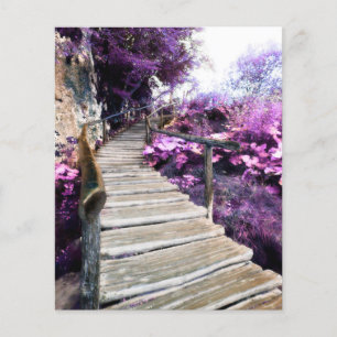 Wisteria-Treppe
