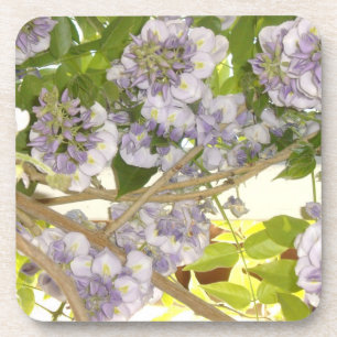 Wisteria Untersetzer