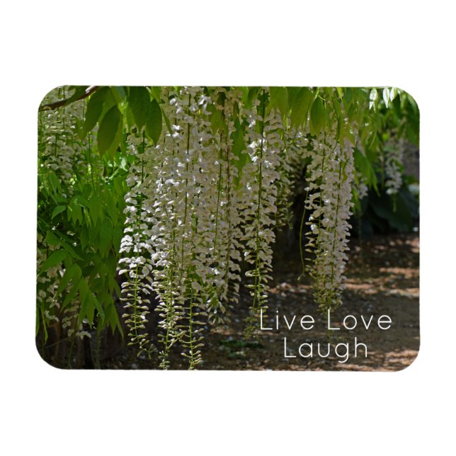 Wisteria White Garden Blume Live Liebe Magnet (Horizontal)