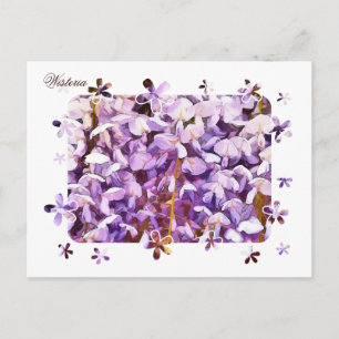 WISTERIEN POSTKARTE