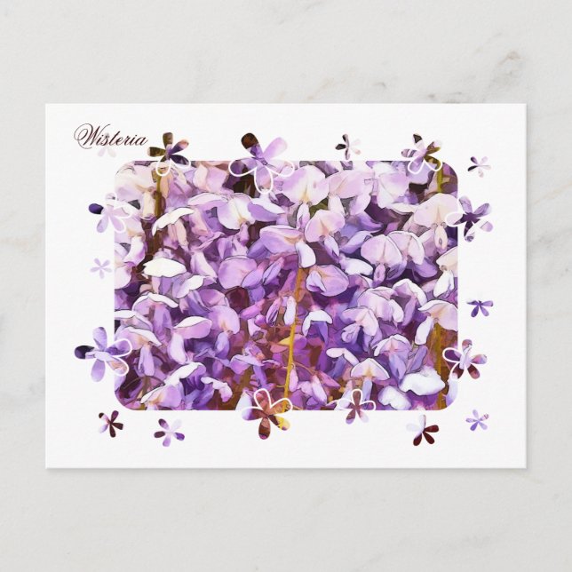 WISTERIEN POSTKARTE (Vorderseite)