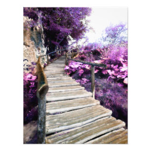 Wisterntreppe Fotodruck