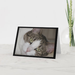 Wistful Katze vermisst Sie Gruß-Karte Karte