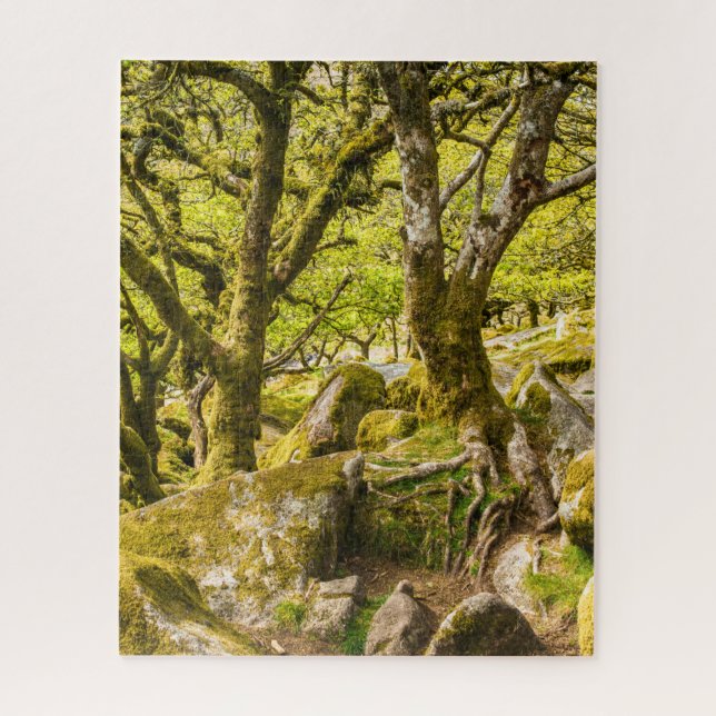 Wistman's Wood Dartmoor Devon England Puzzle (Vertikal)