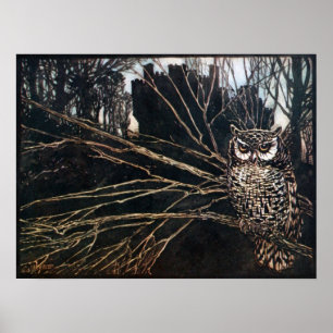 Witch in Owl Form Poster