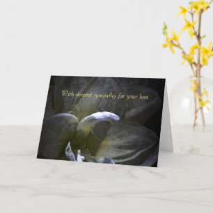 With deepest sympathy - Amaryllis Karte