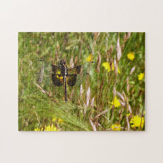 Witwenvogel. Puzzle (Horizontal)