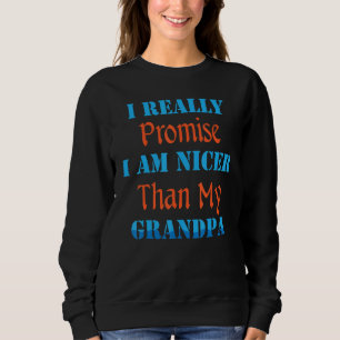 Witzig ich verspreche wirklich, dass ich netter bi sweatshirt