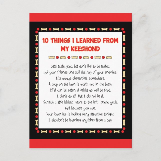 Witzige Dinge, die ich aus meinem Keeshond gelernt Postkarte (Vorderseite)