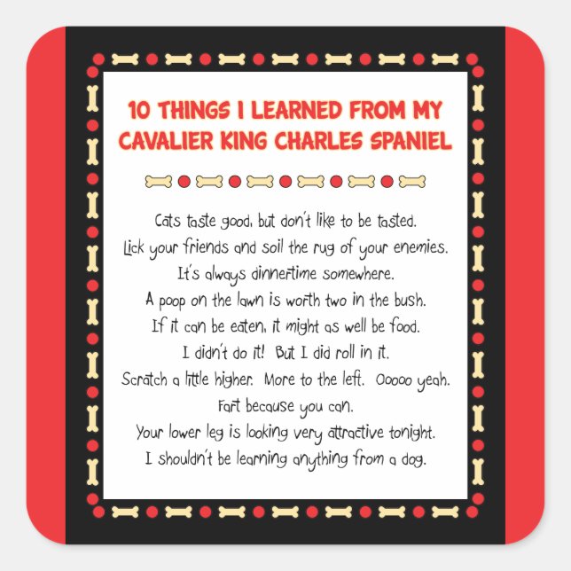 Witzige Dinge, die ich vom Cavalier King Charles g Quadratischer Aufkleber (Vorderseite)