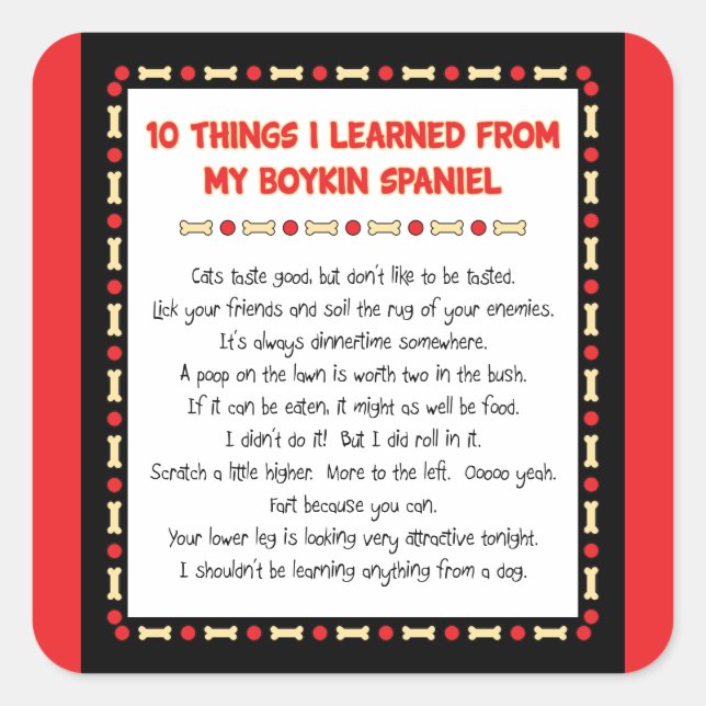 Witzige Dinge, die ich von meinem Boykin Spaniel g Quadratischer Aufkleber (Vorderseite)