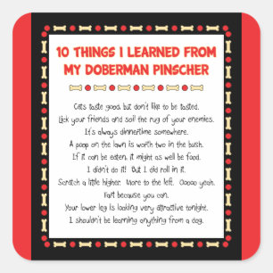 Witzige Dinge, die ich von meinem Doberman Pinsche Quadratischer Aufkleber