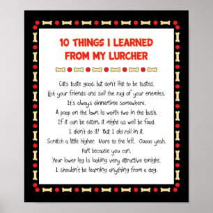 Witzige Dinge, die ich von meinem Grubenarbeiter g Poster