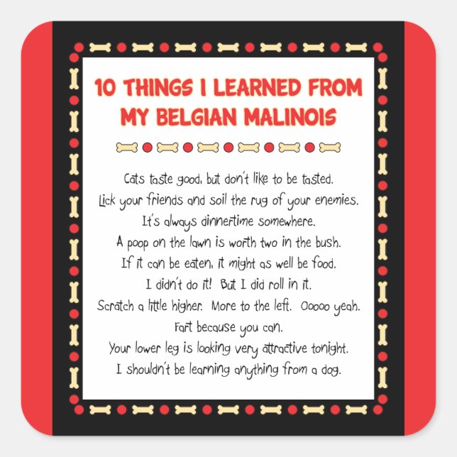 Witzige Dinge, die ich von meinen belgischen Malin Quadratischer Aufkleber (Vorderseite)