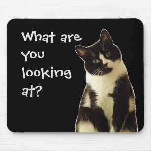 Witzige Katze "Was schaust du dir an?" Mousepad