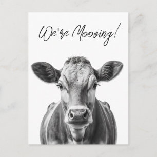Witzige Kuh Wir bewegen uns auf Bewegung Ankündigu Ankündigungspostkarte
