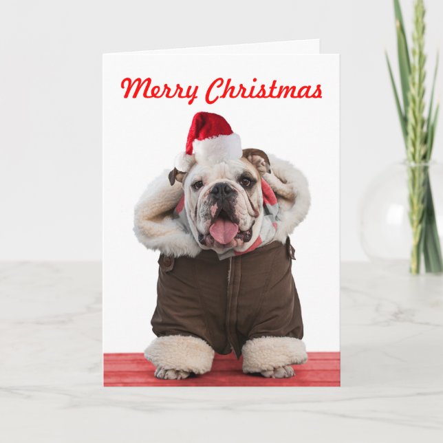 Witzige und niedliche Bulldogin-Weihnachtskarten Feiertagskarte (Vorderseite)