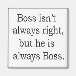 Witzige Worte der Weisheit 17 Magnet