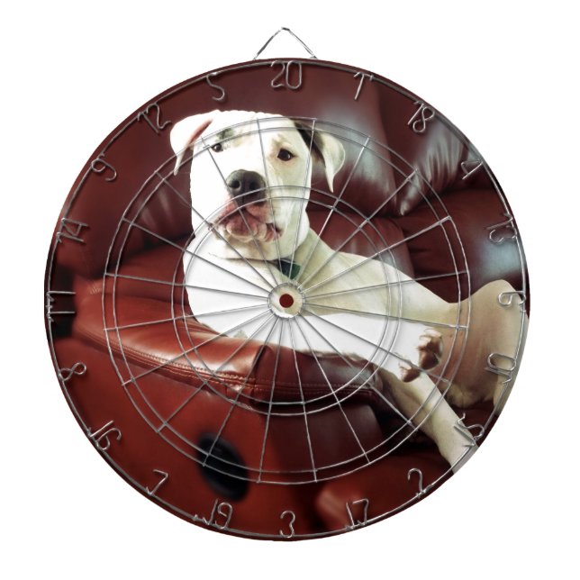 Witziger Bullenhund auf dem Sofa Dartscheibe (vorne)
