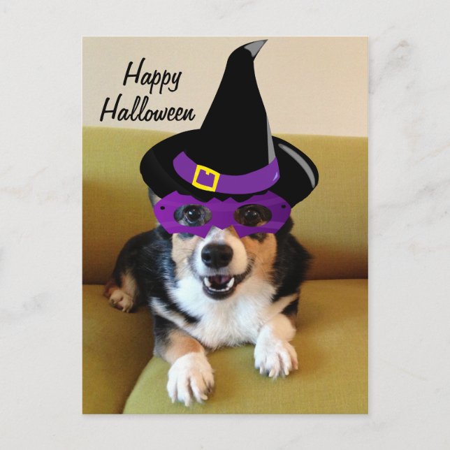 Witziges Halloween Corgi in Kostüm Postkarte (Vorderseite)