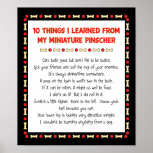 Witziges, was ich von meinem Miniaturpinscher gele Poster