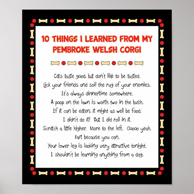 Witziges, was ich von Pembroke Welsh Corgi gelernt Poster (Vorne)