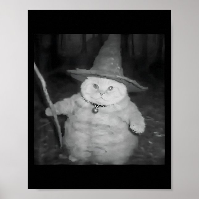 Wizard Cat Weird Funny Halloween Cat Meme Poster (Vorne)