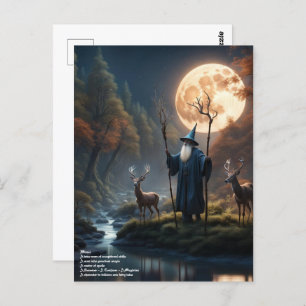 Wizard Forest Postkarte