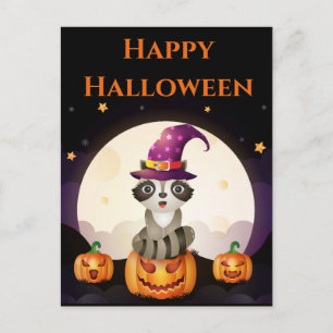 Wizard Raccoon Postkarte