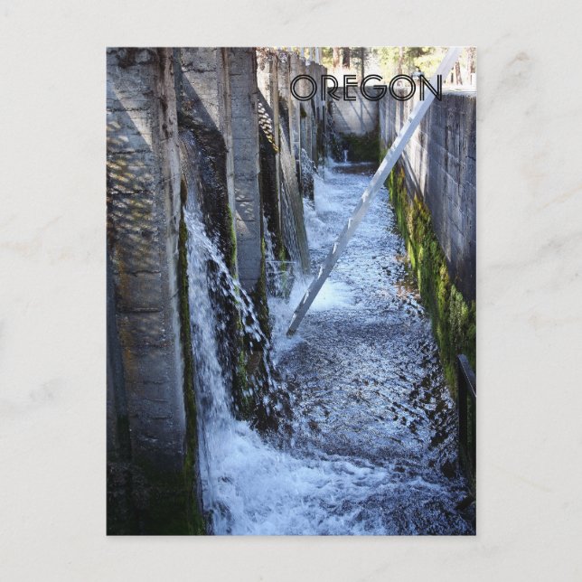 Wizards Fall Postkarte (Vorderseite)