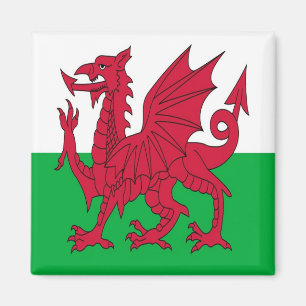 WLS001 FLAG welsh WALES, Kühlschrank Magnet