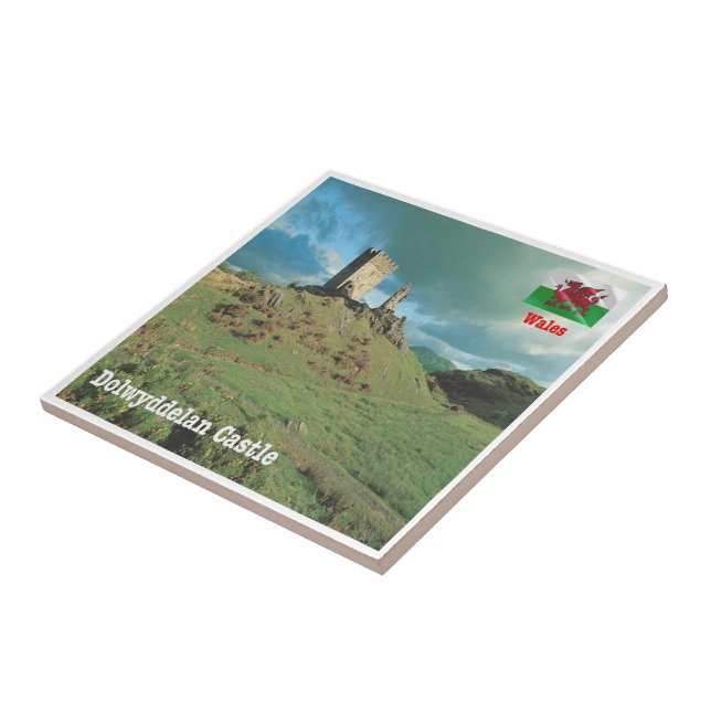 WLS015 DOLWYDDELAN CASTLE, Wales, Europa, Fliese (Seite)