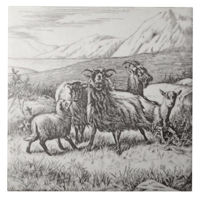 Wm Wise Minton Farm Animals Goats Tile Repro c1879 Fliese (Vorderseite)